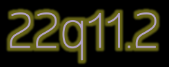 22q11.2